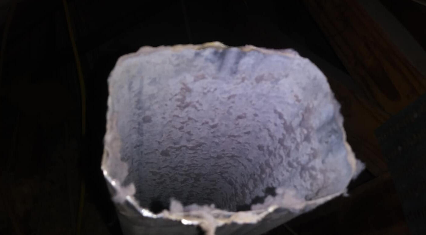 Family sitting on the floor with a dog, holding a board above their heads like a roof over their heads, simulating safe and protection.